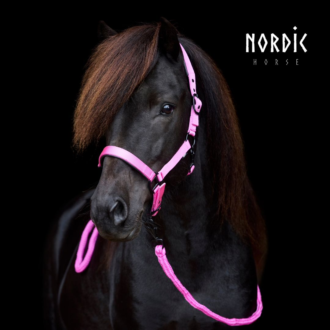 619-p-nylonhalter-pink-2