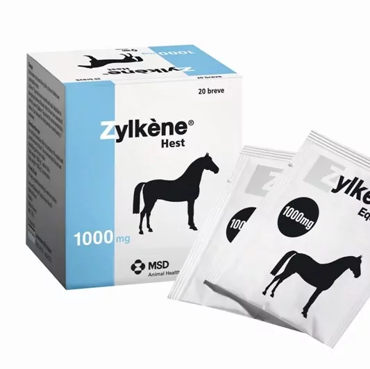 zylkene-hest.jpg