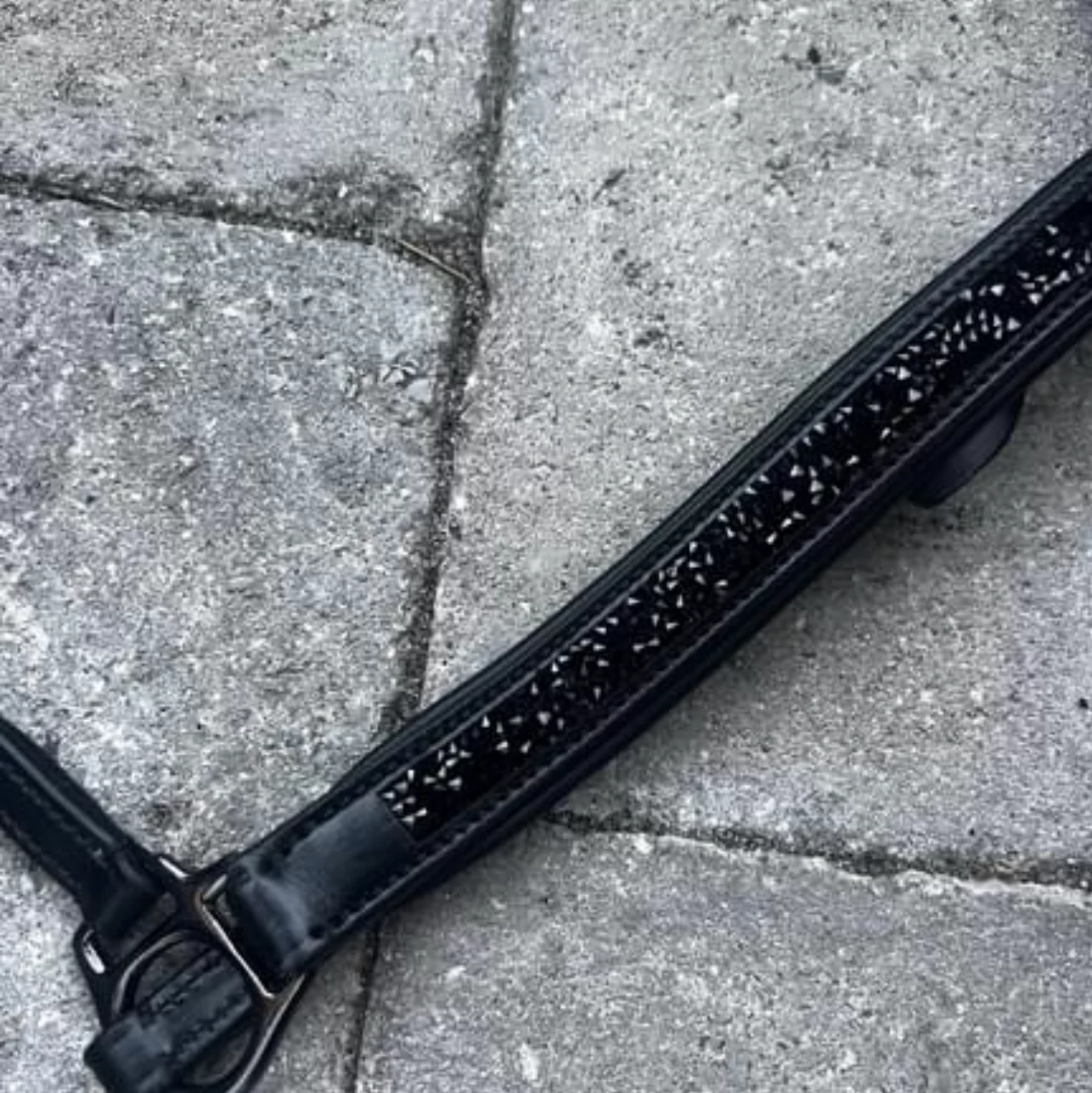 arius bl hann